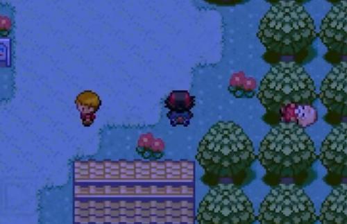 小智的丰缘冒险汉化版