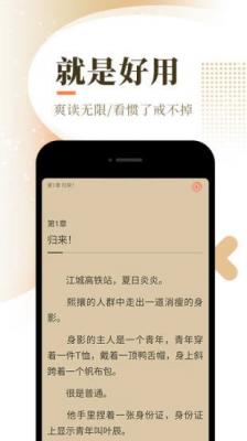 萌辣小说截图3