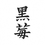 黑莓小说旧版本