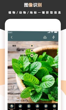 梦音扫描王截图3