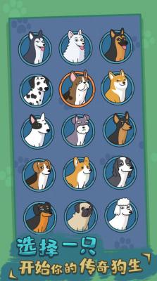 狗生模拟器截图1