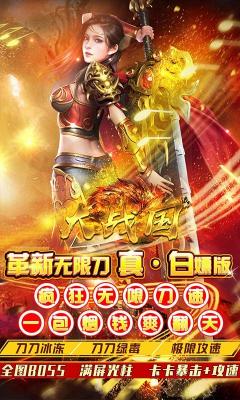 大战国疯狂无限刀截图4