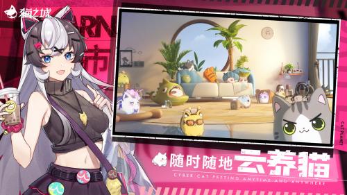 抖音猫之城官方版截图3