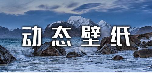 动态壁纸合集