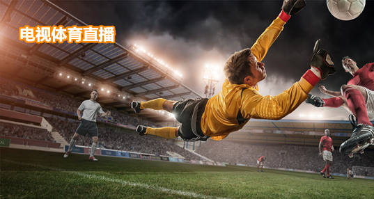 电视体育直播合集