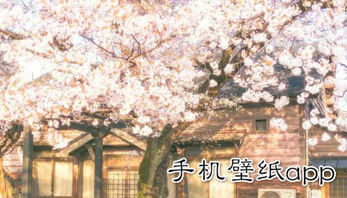 手机壁纸app推荐