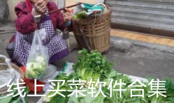 线上买菜软件合集