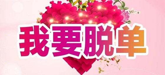 不花钱相亲交友推荐