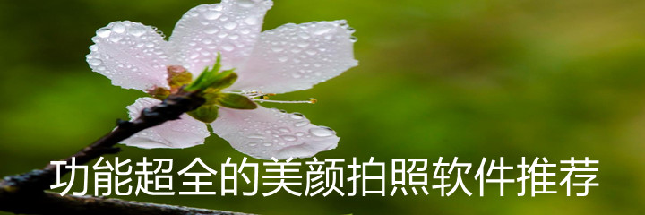 功能超全美颜拍照推荐