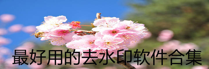 最好用去水印软件合集