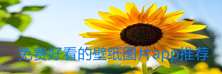 不花钱好看壁纸软件推荐
