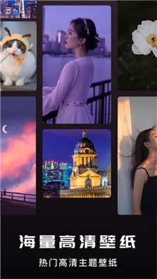 萤火虫壁纸截图2