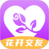 花开交友