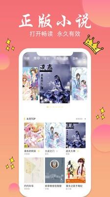 旗阅小说电子阅读截图3