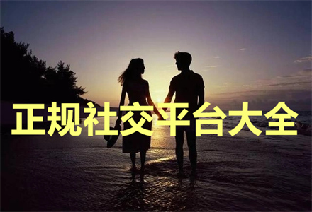 正规社交平台大全