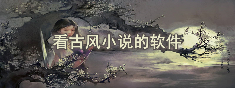 看古风小说软件大全