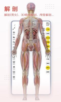 3dbody解剖截图3
