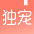 独宠小说旧版