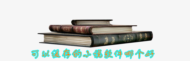 可缓存的小说软件推荐