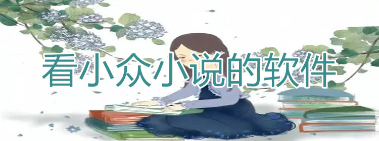 看小众的小说软件大全