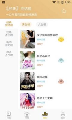 怪灯小说旧版截图3