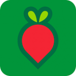 叮咚买菜安卓版