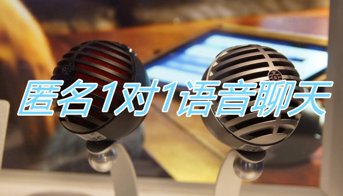 匿名一对一语音聊天大全