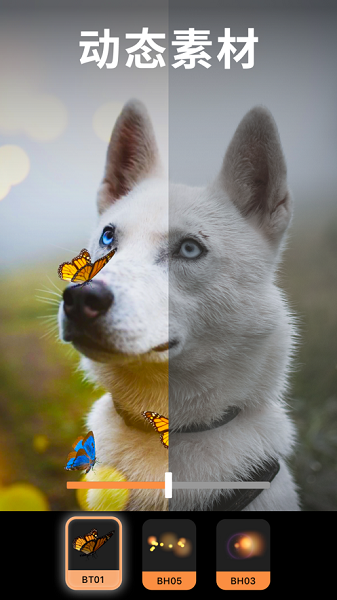 am剪辑官方正版截图1