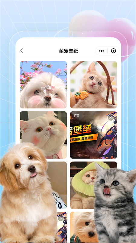 美好生活壁纸秀截图3