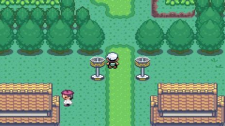 究极绿宝石5.5截图3