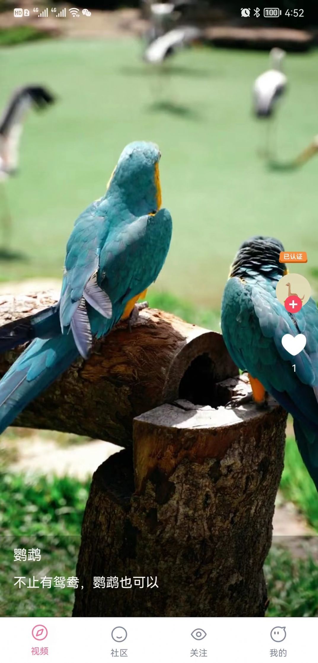 cilicili短视频v3.4.3.6安卓版截图2