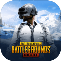 地铁逃生国际服pubg