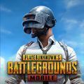 pubg龙珠联动下载