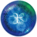 星噬中文版安卓完整版