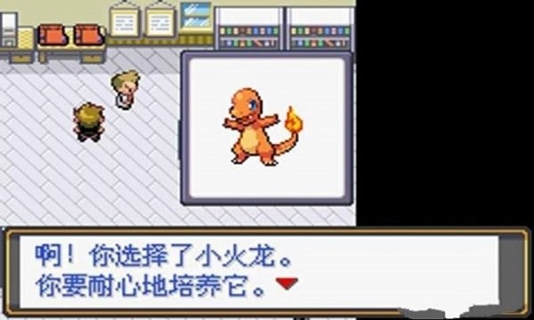 口袋妖怪最后的火红4.0.3金手指截图3