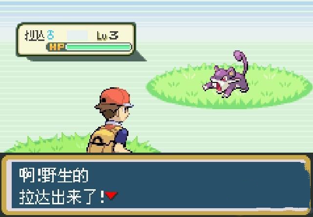 精灵宝可梦究极绿宝石5.5