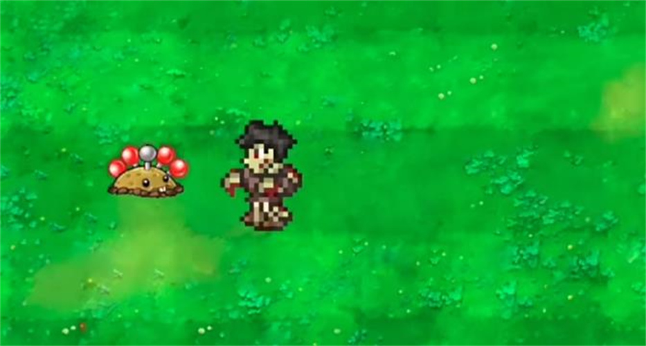 窝草模拟器2023截图4