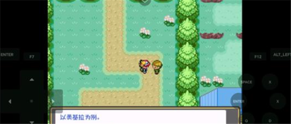 宝可梦燃之智3.4魔改版截图3