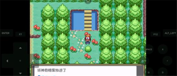 宝可梦燃之智3.4魔改版截图2