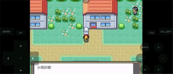 宝可梦燃之智3.4魔改版截图1