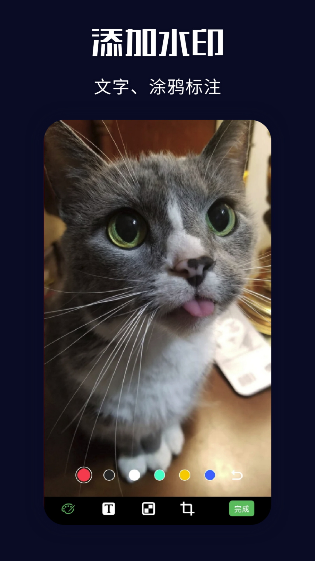 clipdrop手机版截图3