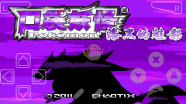 神奇宝贝漆黑的魅影