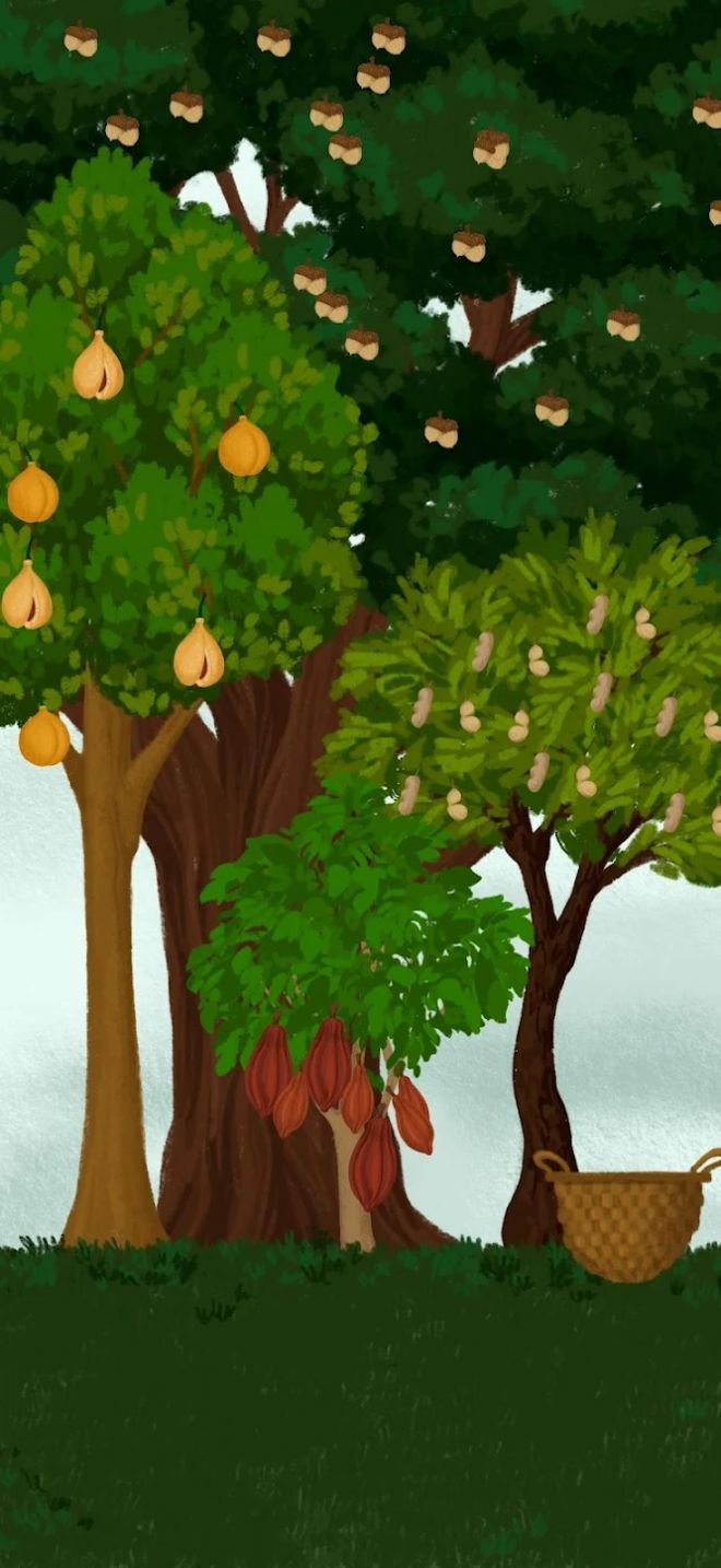 女巫的魔法商店游戏截图2