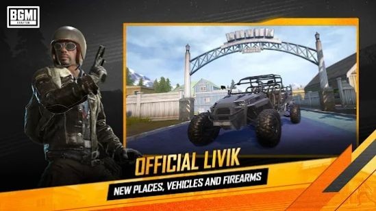 BGMI截图4