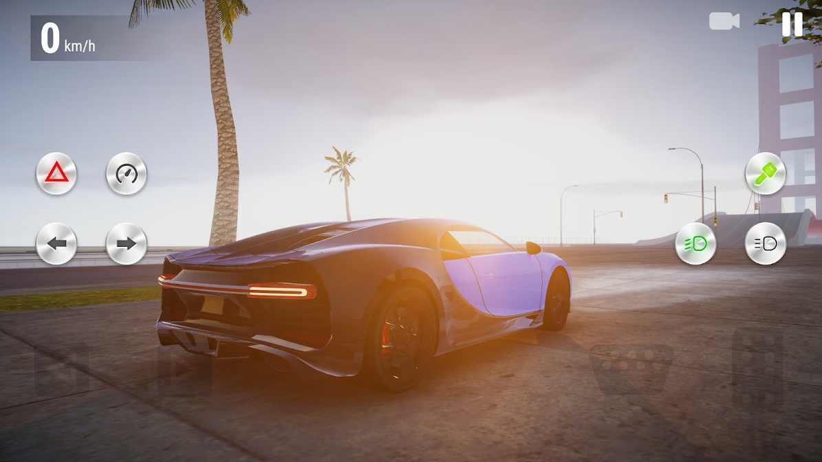 真实驾驶学校中文版截图2