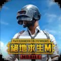 pubg国际服手游下载4.0