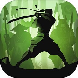 暗影格斗2特别版