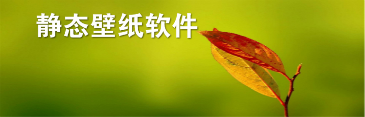 静态壁纸软件大全