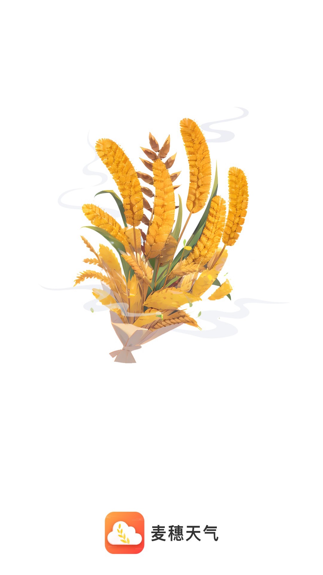 麦穗天气截图3