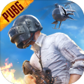 pubg地铁逃生bn全防永久卡密2023